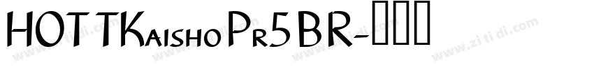 HOT TKaisho Pr5 B R字体转换